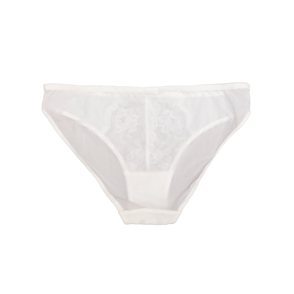 Anne Briefs