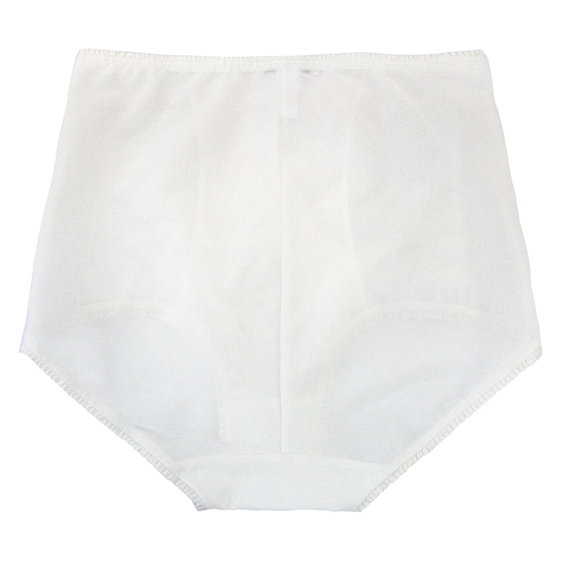 Elly High Waisted Briefs | Silver Lining Lingerie